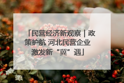 民营经济新观察｜政策护航 河北民营企业激发新“冀”遇